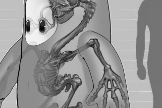 Why does the Fall Guy have hidden abs and nipples?