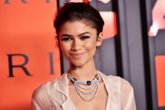 Zendaya to Play Ronnie Spector in Upcoming Film on Singer’s Life