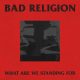Bad Religion Share New Song “What Are We Standing For”: Stream