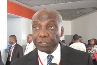 #EndSARS: Thugs who attacked protesters in Abuja were brought by Senator’s aides – Ex-DSS director