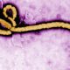 FDA approves first treatment for Ebola