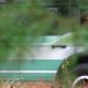 Ford Teases Mint Green, U.S. Forest Service–Ish Bronco Concept SUV