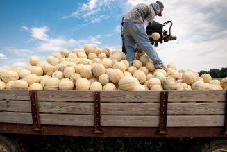 Go read this story about the ‘heat gap’ deepening the world’s divisions