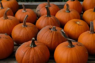 Halloween isn’t risk-free, but it can be lower risk