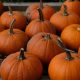 Halloween isn’t risk-free, but it can be lower risk