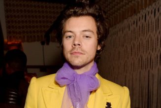 Harry Styles Hung Out at a Fan’s House (& Fed Her Fish) After His Car Broke Down