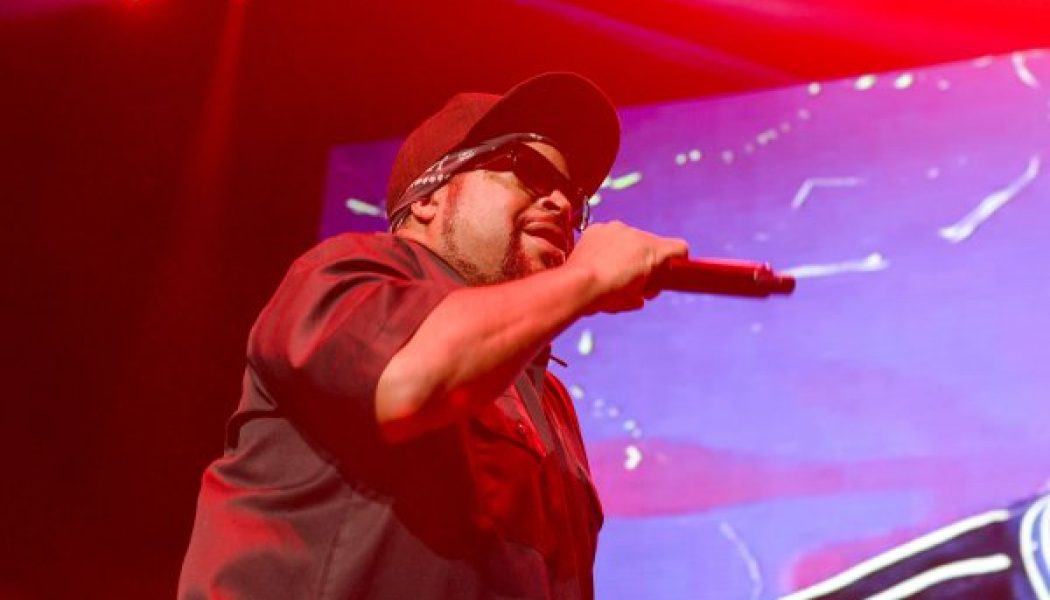 Ice Cube Clarifies Why He Met With President Donald Trump