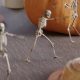 It’s Halloween, so here are some mischievous skeletons