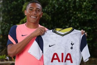 Jan Vertonghen’s immediate reaction as Tottenham Hotspur sign Carlo Vinicius