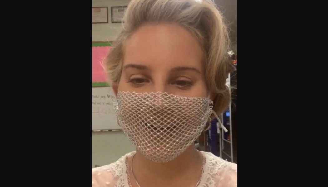 Lana Del Rey Criticized for Wearing Mesh Face Mask