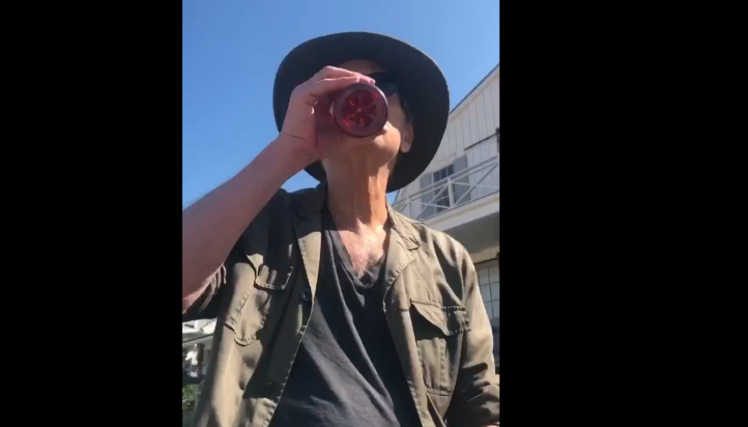 Lindsey Buckingham Hops on the ‘Dreams’ TikTok Challenge