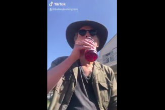 Lindsey Buckingham Is Also Vibin’, Records His Own “Dreams” TikTok: Watch