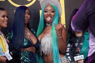 Megan Thee Stallion Had The Perfect Response For That Varmint’s Instagram Live Rant