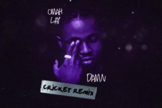 Omah Lay – Damn (Cricket Remix)