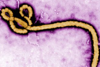 Rapid research in a deadly epidemic pays off