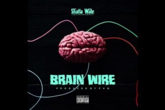 Shatta Wale – Brain Wire (Freestyle)