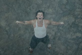 Shawn Mendes Gets Very Wet In Soaring New ‘Wonder’ Video