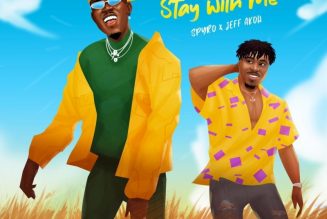 Spyro & Jeff Akoh – Stay With Me