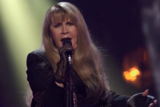 Stevie Nicks Played With Double Pneumonia at 2019 Rock Hall of Fame Ceremony