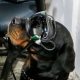 The US Army is testing augmented reality goggles for dogs