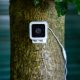 Wyze adds weather resistance to its new security camera, keeps $20 price