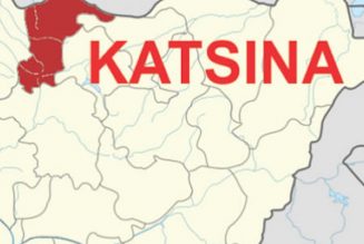 2023: Katsina wants women represented in national, state assemblies