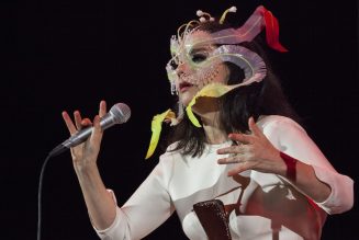 Björk Teams With Iceland’s Hamrahhlíð Choir on ‘Cosmogony’