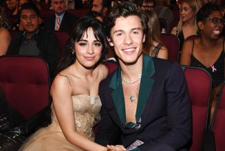 Camila Cabello on Being in Love With Shawn Mendes: ‘It’s Not Just Happy Blissful Moments’