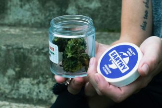 Earthy CBD & Hemp Presented by Consequence of Sound