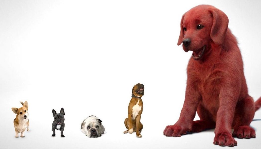 In First Look, Live Action Clifford the Big Red Dog Also Big Red Stuff of Nightmares