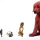 In First Look, Live Action Clifford the Big Red Dog Also Big Red Stuff of Nightmares