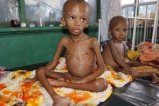 Kaduna loses 124 children to malnutrition in 9 months