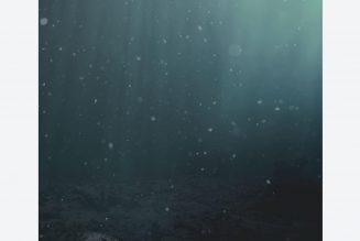 Marine Snow – NOVARUPTA