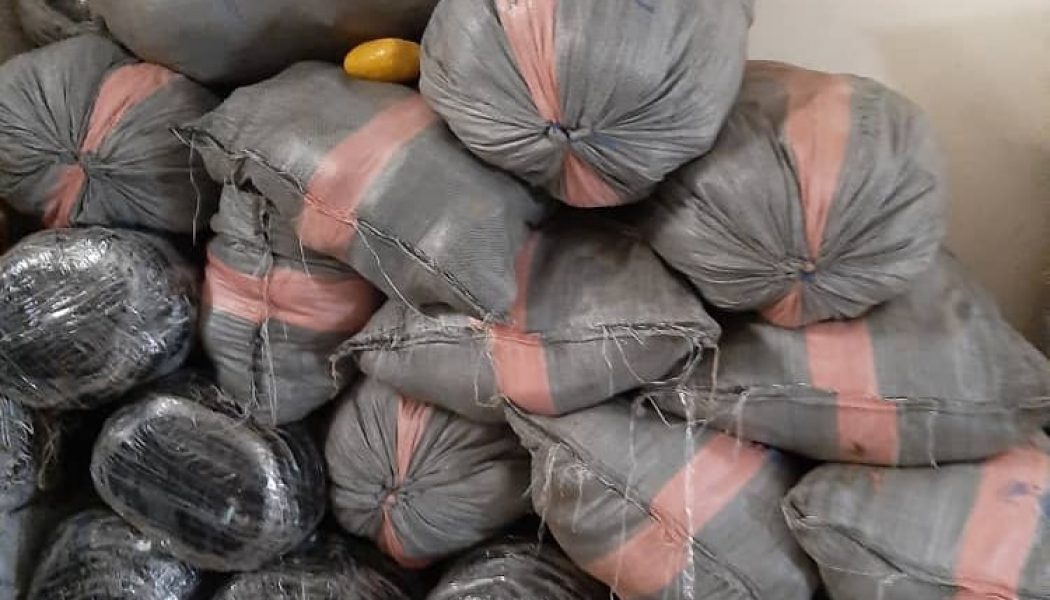 NDLEA seals off cannabis warehouse, seizes drugs worth N24 million