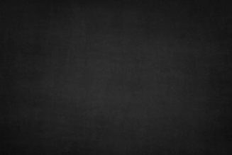 Niger partners private farm to improve livestock sector