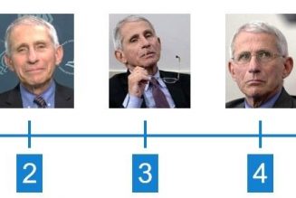 Now you can determine your level of Fauci with this handy meme