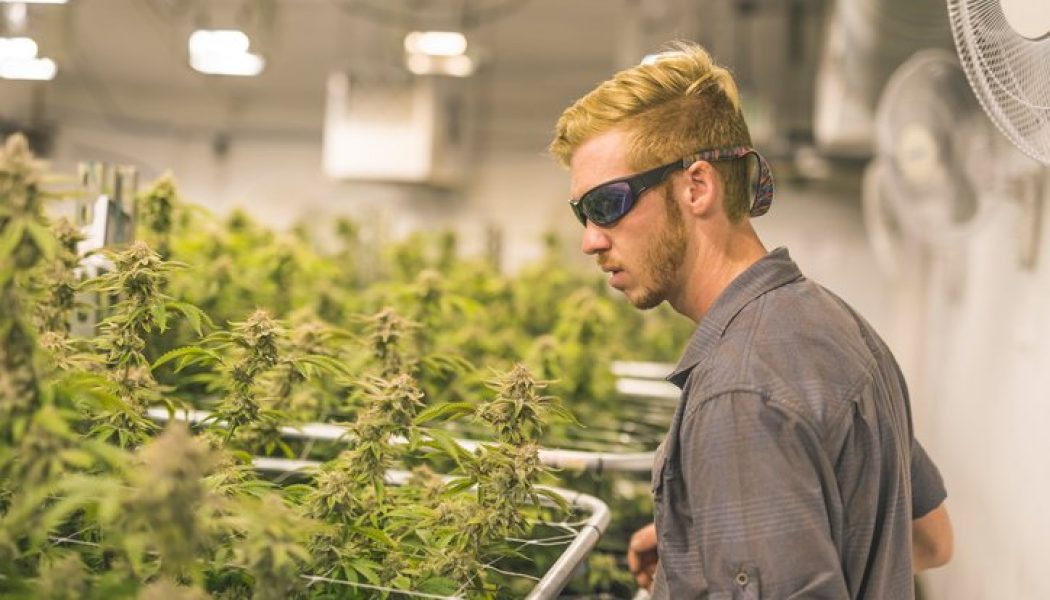 Oregon Is The First State Ever To Decriminalize Hard Drugs