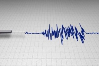 Polygraph lie detector will help curb crime in Nigeria – expert