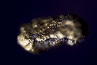 Prospecting for the true value of gold