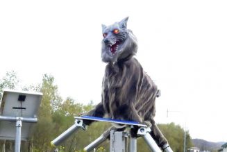 Robot wolves prevent Japanese bear attacks, are also very creepy