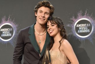 Shawn Mendes & Camila Cabello Introduce Their Adorable Puppy Tarzan