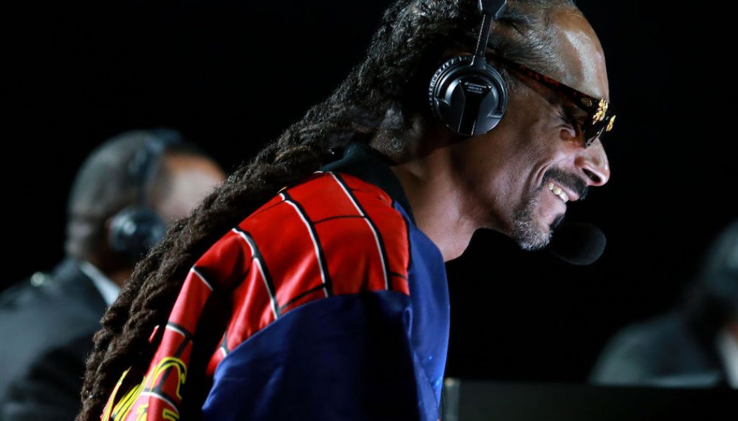 Snoop Dogg’s Commentary Was the Real Winner of Last Night’s Mike Tyson and Roy Jones Jr. Fight