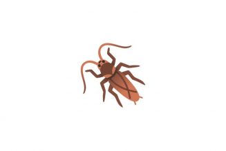 The cockroach emoji proposal is a story about texting through the apocalypse