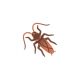 The cockroach emoji proposal is a story about texting through the apocalypse