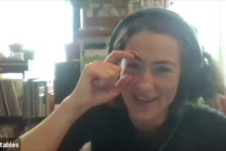 This Is the Kit on the Need for Empathy and Solitude