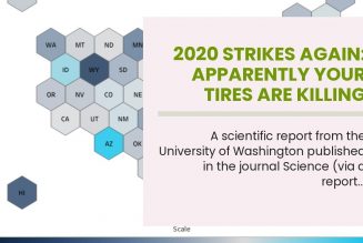2020 Strikes Again: Apparently Your Tires Are Killing Salmon