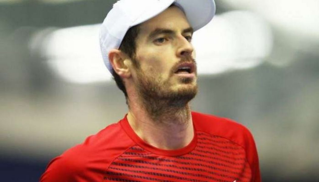Andy Murray receives Australian Open wild card
