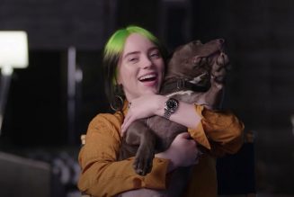 Billie Eilish Discusses Her Identity Crisis, New Music in “Time Capsule” Interview: Watch
