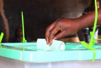 Borno holds bye-election for state assembly