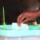 Borno holds bye-election for state assembly